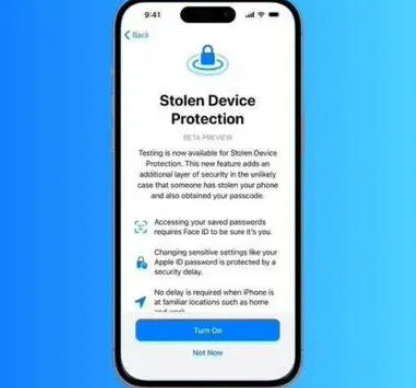 岳西苹果授权维修店分享被盗设备保护功能开启方法 