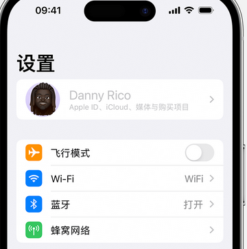 岳西appleID维修服务iPhone设置中Apple ID显示为灰色无法使用