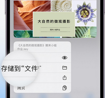 岳西apple维修中心分享iPhone文件应用中存储和找到下载文件