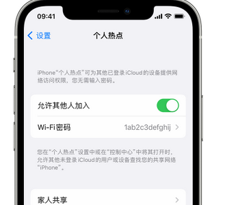 岳西apple服务站点分享iPhone上个人热点丢失了怎么办 