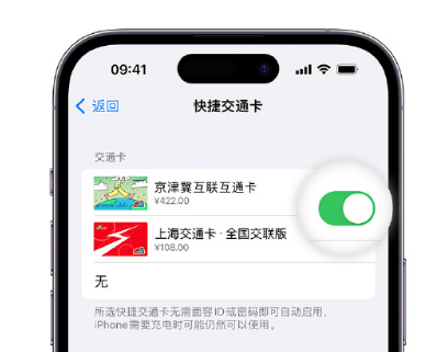 岳西apple维修点分享iPhone上更换Apple Pay快捷交通卡手绘卡面 