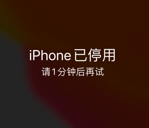 岳西苹果手机维修分享:iPhone 显示“不可用”或“已停用”怎么办？还能保留数据吗？ 