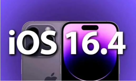 岳西苹果14维修分享：iPhone14可以升级iOS16.4beta2吗？ 