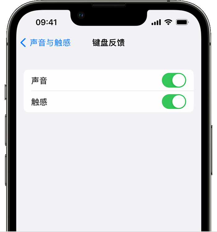 岳西苹果14维修店分享如何在 iPhone 14 机型中使用触感键盘 