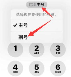 岳西苹果14维修店分享iPhone 14 Pro Max使用副卡打电话的方法 