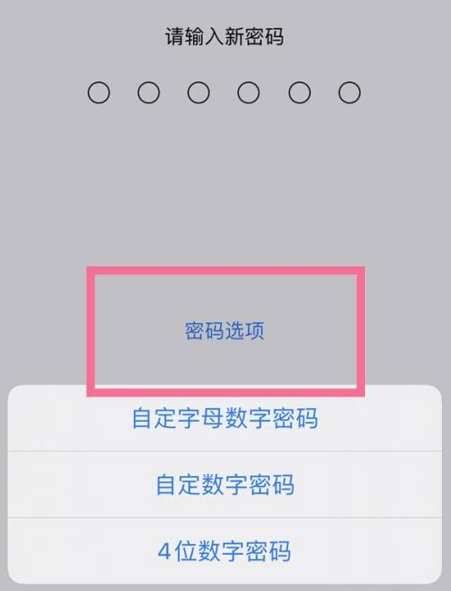 岳西苹果14维修分享iPhone 14plus设置密码的方法 