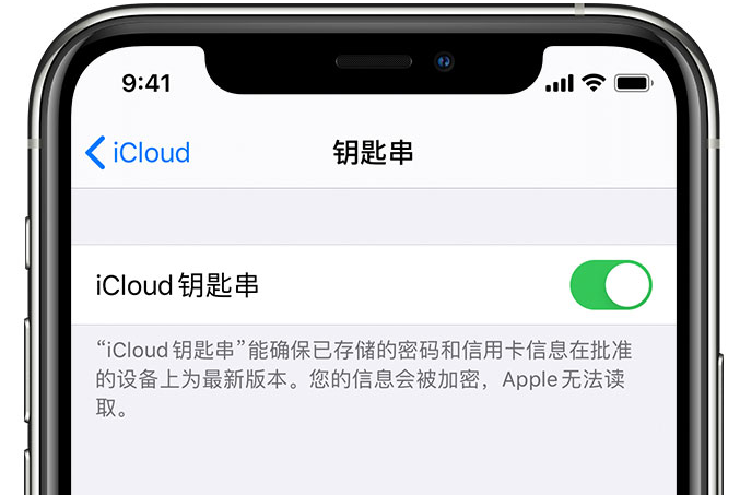 岳西苹果手机维修分享在 iPhone 上开启 iCloud 钥匙串之后会储存哪些信息 