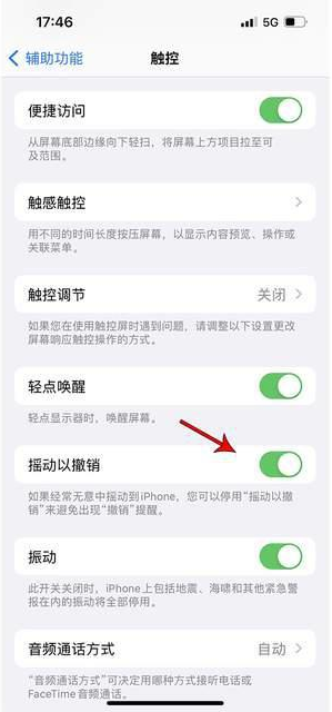 岳西苹果手机维修分享iPhone手机如何设置摇一摇删除文字 