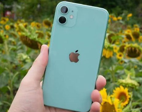 岳西苹果维修点分享iPhone 11锁屏密码认知与使用科普 